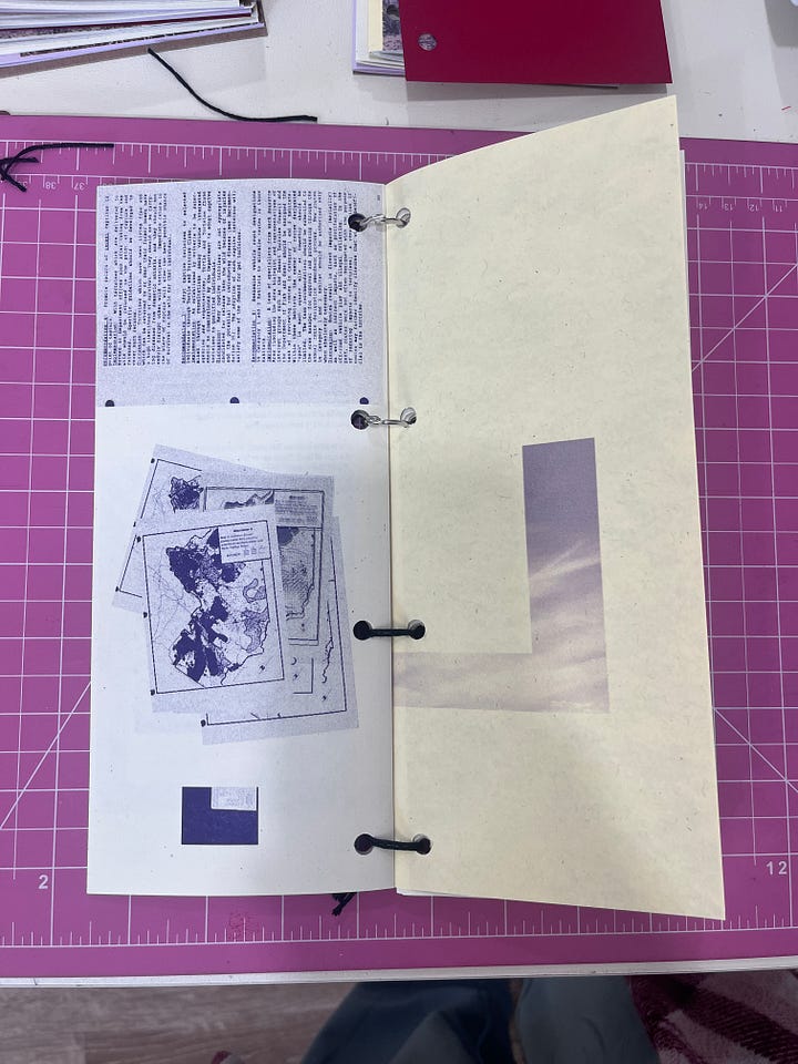 Desert Haze artist book