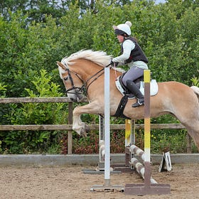 Molly takes red rosettes at Connell Hill Training Show