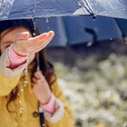 Na regen komt kak 