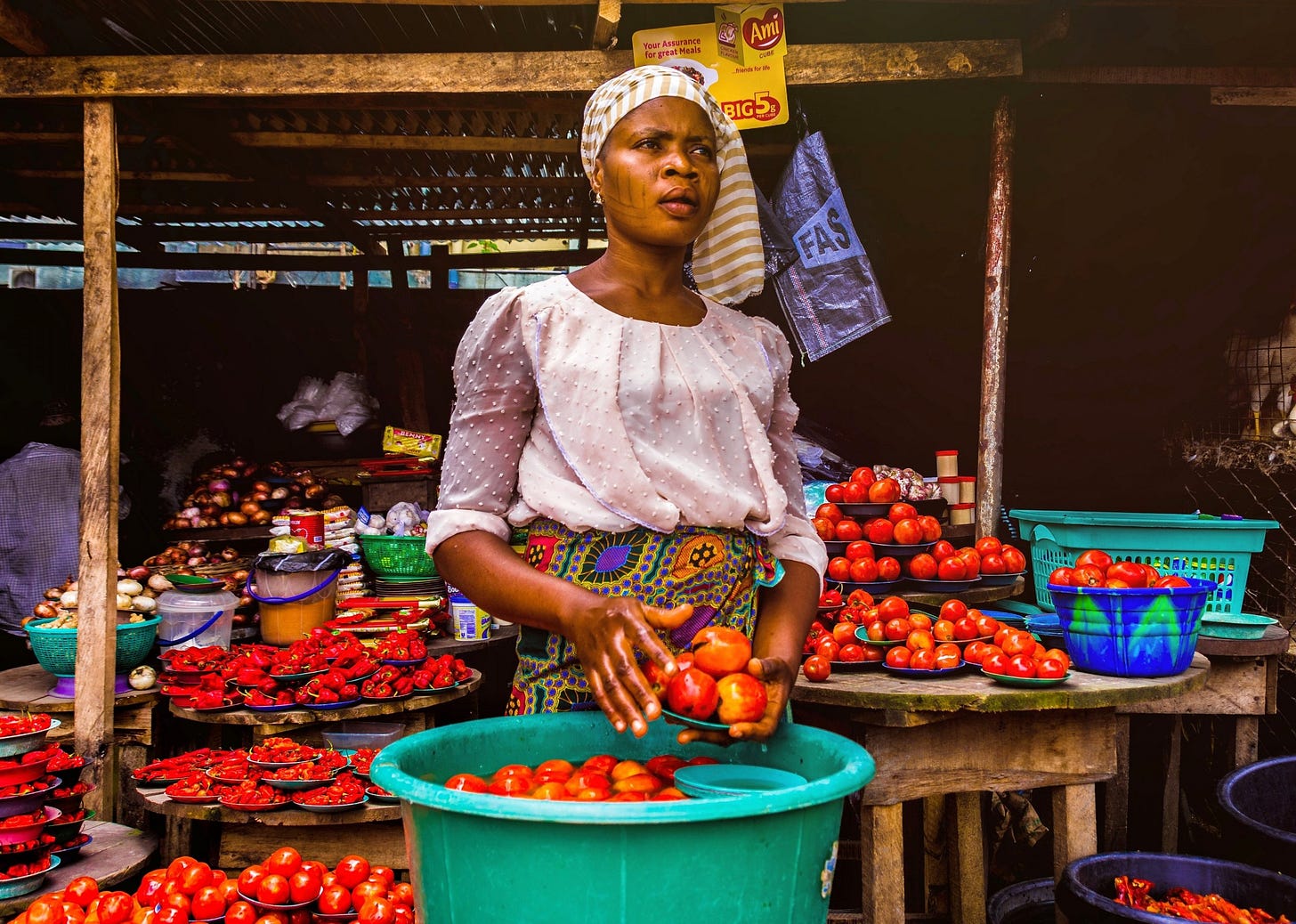 Banking the Unbanked: bridging the financial inclusion gap in ... Banking the Unbanked: bridging the financial inclusion gap in ...