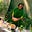 Warren Steven Scott's avatar