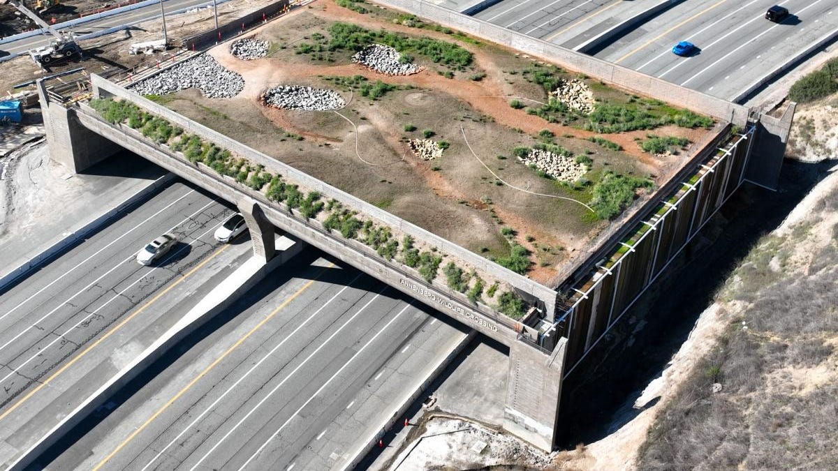 justkiradavis.substack.com