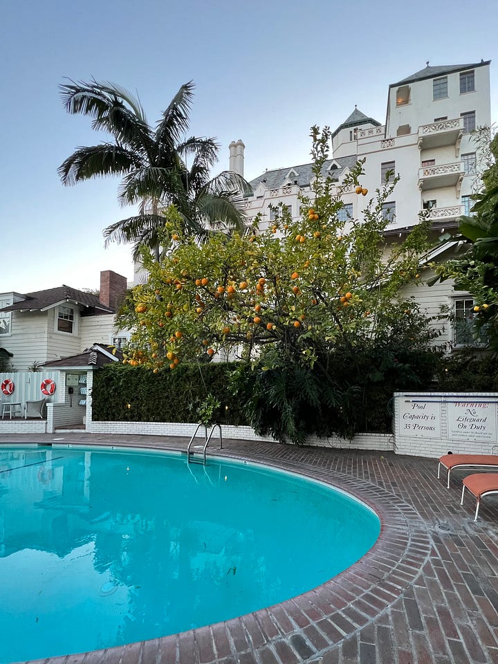 Boo at Chateau Marmont
