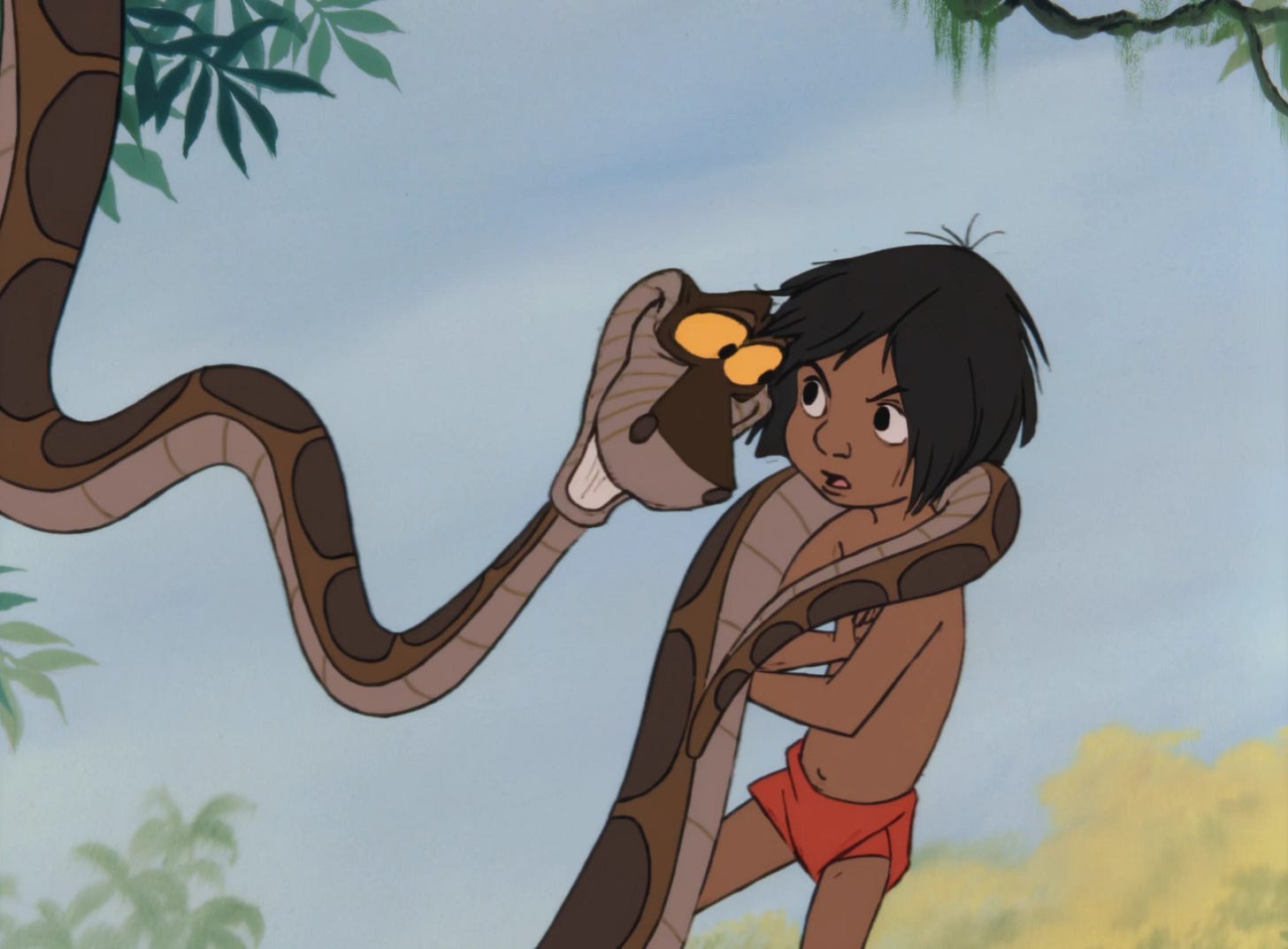 Kaa | Wickedpedia | Fandom Kaa | Wickedpedia | Fandom
