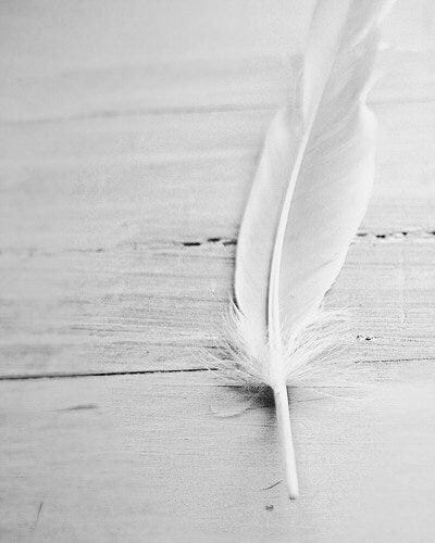 May be a black-and-white image of bird May be a black-and-white image of bird