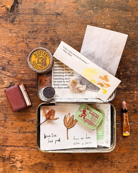 Past 100 Day Projects