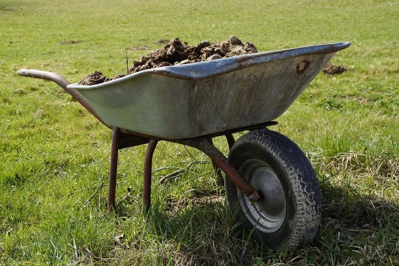 wheelbarrow full of manure wheelbarrow full of manure