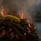 Bacteria Dies Eating Big Mac