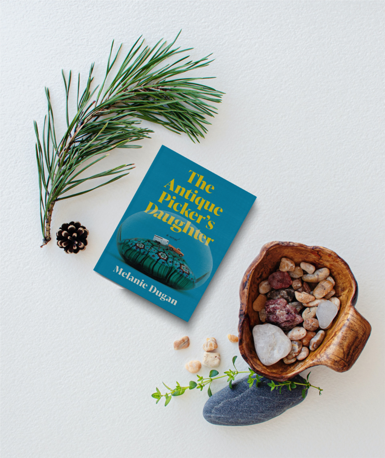 Book "The Antique Picker's Daughter" on a table next to pinecone and fall foilage Book "The Antique Picker's Daughter" on a table next to pinecone and fall foilage