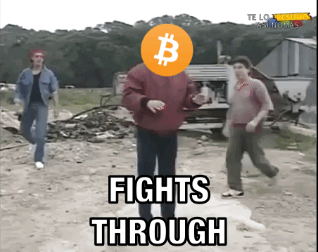 Bitcoin Meme GIF by Crypto GIFs & Memes ::: Crypto Marketing - Find & Share on GIPHY Bitcoin Meme GIF by Crypto GIFs & Memes ::: Crypto Marketing - Find & Share on GIPHY