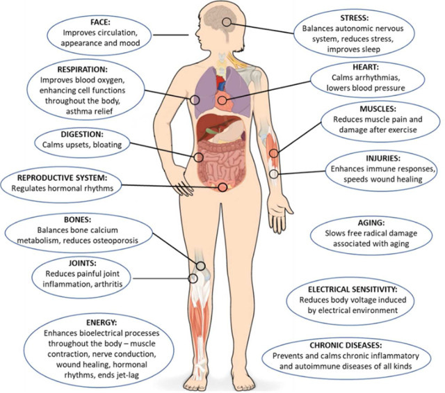 Integrative and lifestyle medicine strategies should include Earthing ( grounding): Review of research evidence and clinical observations -  ScienceDirect