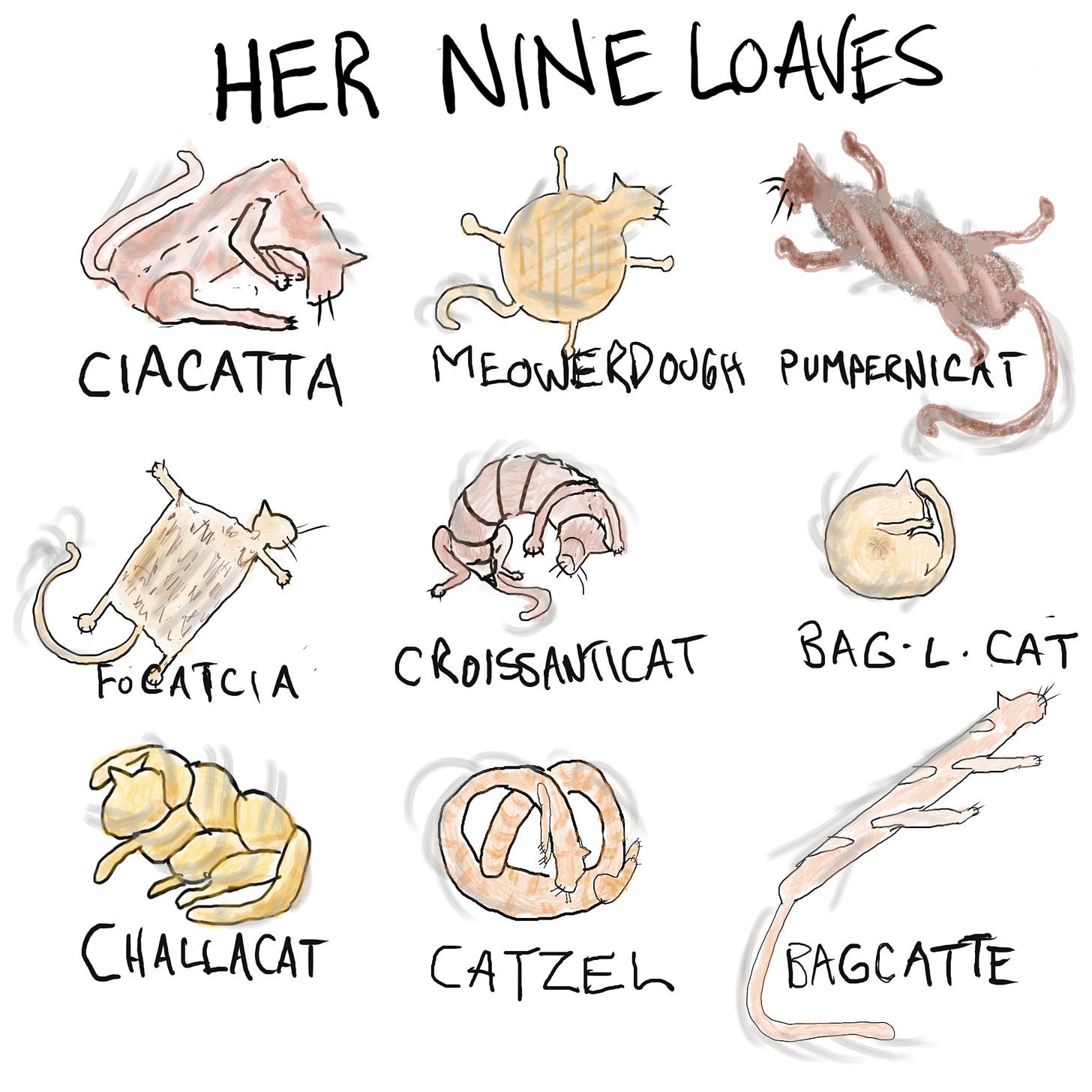 A cat has nine loaves, not nine lives