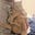 junaid firdaus's avatar