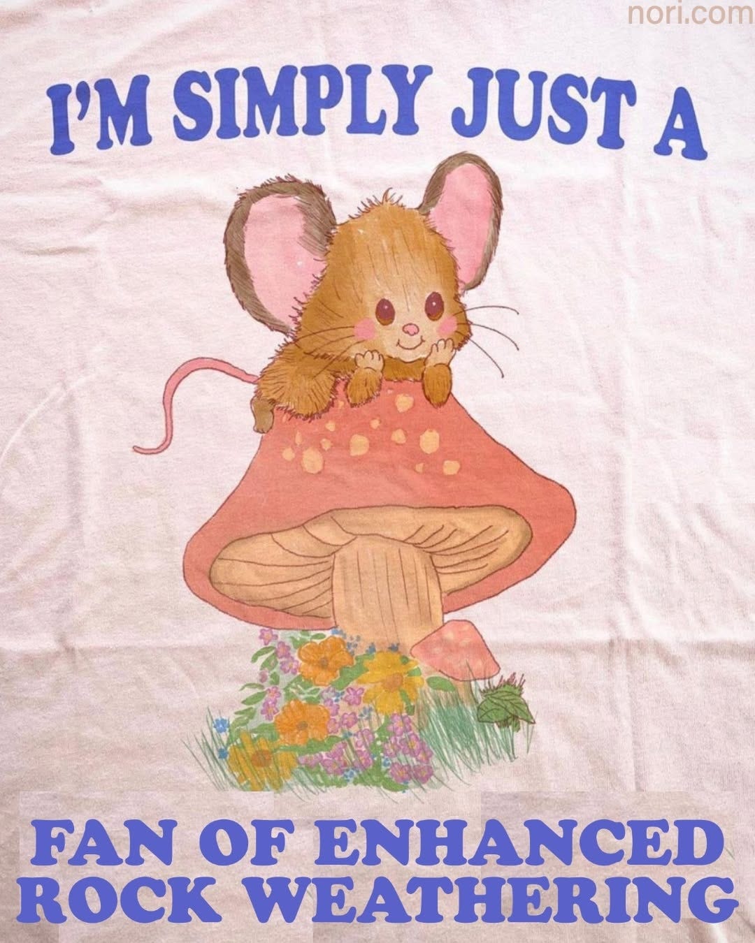 A pink T-shirt printed with a cartoon mouse on a red mushroom and the text "I'm simply just a fan of enhanced rock weathering".