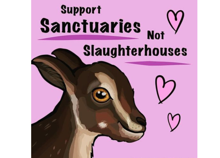Every life deserves safety, not slaughter. Sanctuaries give animals love, freedom, and dignity—slaughterhouses steal it all. Choose compassion. Support places that protect, not those that kill. A kinder world is possible, and it starts with our choices. Go vegan. Every life deserves safety, not slaughter. Sanctuaries give animals love, freedom, and dignity—slaughterhouses steal it all. Choose compassion. Support places that protect, not those that kill. A kinder world is possible, and it starts with our choices. Go vegan.