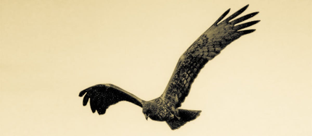 McKinleyRd Creatives Substack