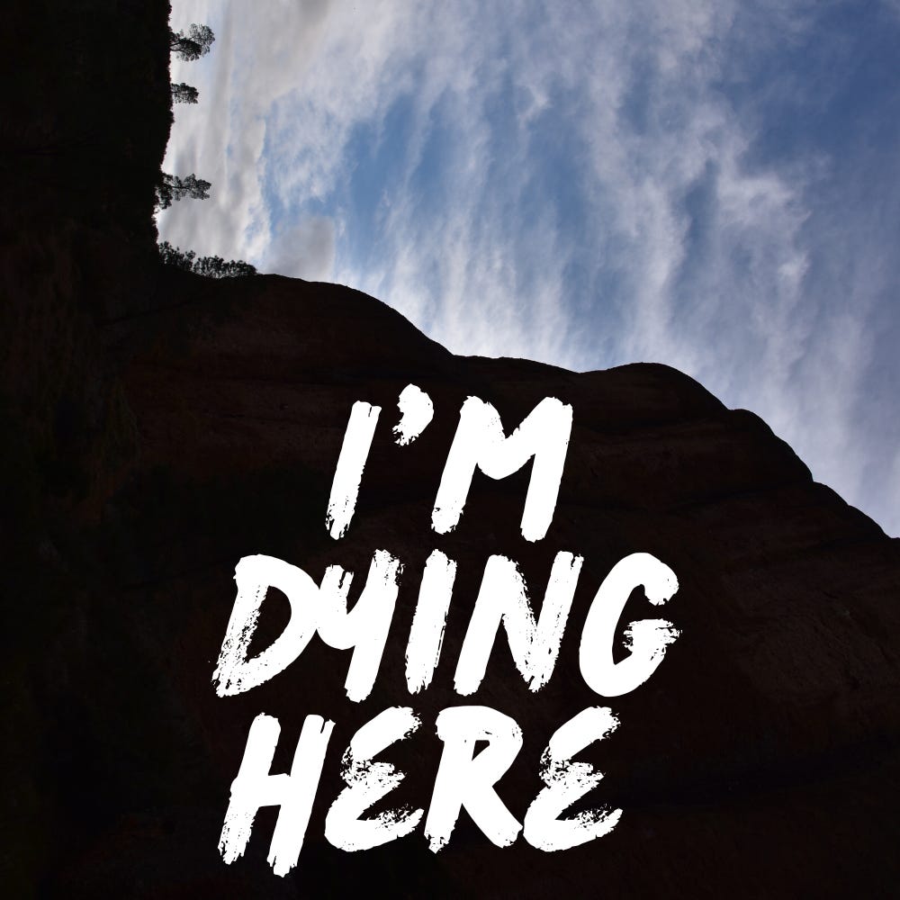 Substack profile picture for @dying