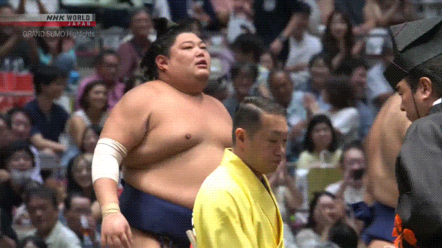 Sumo Stomp! | Tim Bissell | Substack