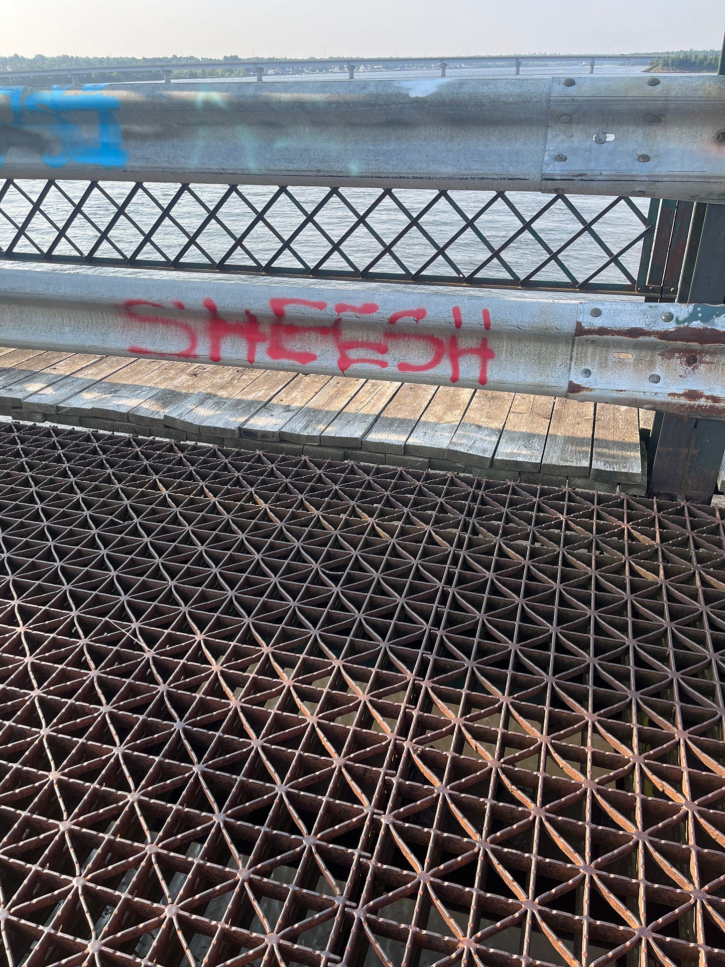 Some spray-painted grafiti on the guard-rail of a bridge spanning a river. The graffiti reads: SHEESH