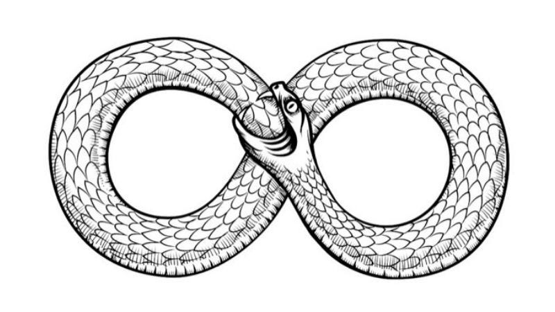 Ecco l'uroboro, simbolo di un ciclo infinito - Il Punto Quotidiano