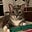 N.R.Y.'s avatar