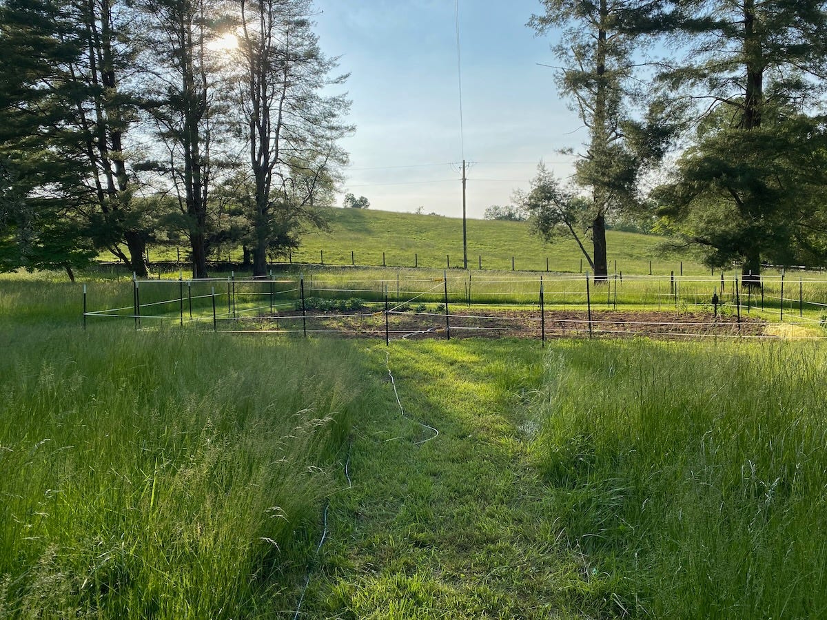 A double-wall electric fence surrounding a vegetable garden.