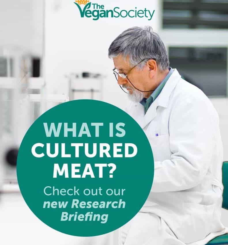 The Vegan Society discusses the intersections between veganism, ethics, and cultivated meat in a new paper.