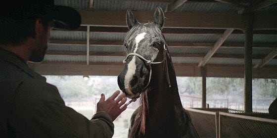 Chopper horse getting crazy with Cordell on Walker. Chopper horse getting crazy with Cordell on Walker.