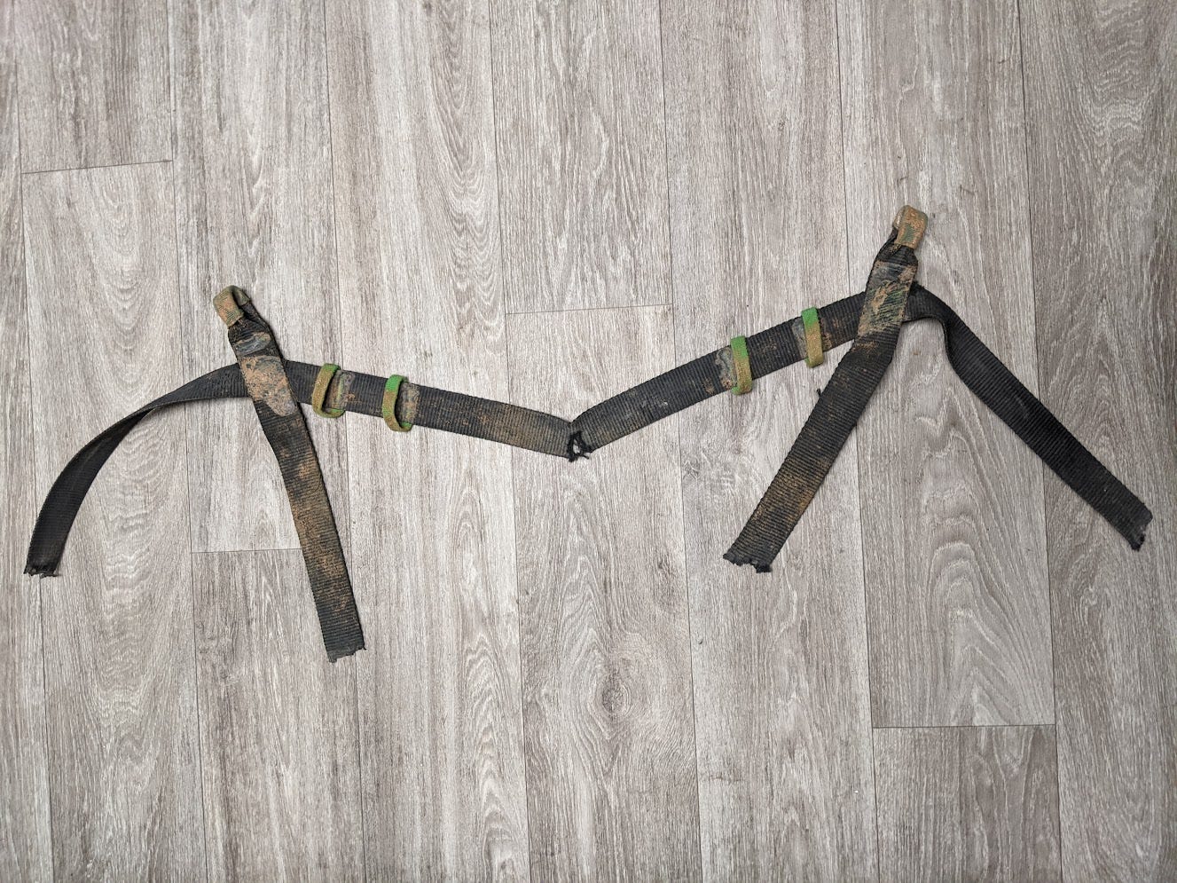 A partially-severed harness, with both leg loops cut and the waist loop partially cut A partially-severed harness, with both leg loops cut and the waist loop partially cut