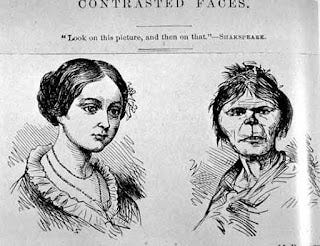 A picture containing text, book

Description automatically generated