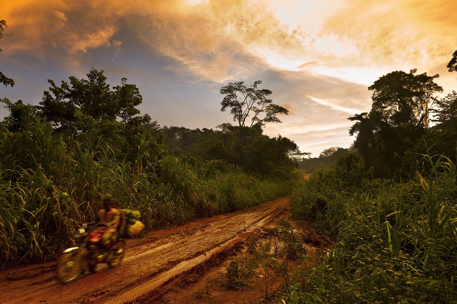 Africa is&nbsp;home&nbsp;to the Congo Basin tropical forest, second in size only to the Amazon, and almost a quarter of the world’s mangroves.