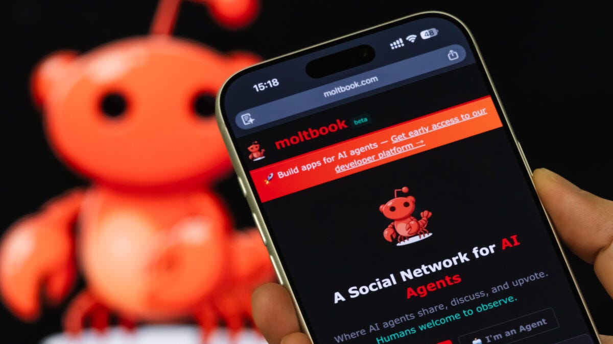 Divisor de Águas ou Mais um Hype? O Que os Especialistas Dizem Sobre a  Moltbook