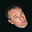 Avatar de Greko