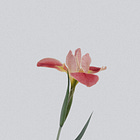 I'm Tired of Hustling When Most of Us Are Just Trying to Survive