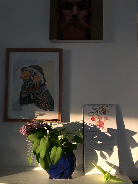 Afternoon light delight across my walls.