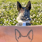 On death: Why we think and talk about losing our dog