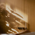 ✍️ Desk of Amy Suto: 23 Things I’ve Learned About Growing My Substack in 2023