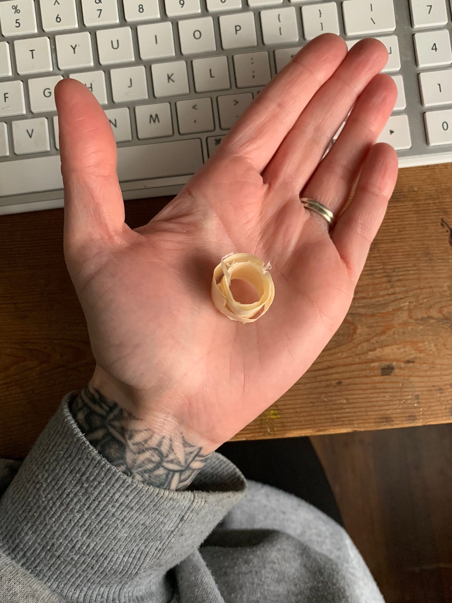 A photo of a white hand, palm up, above a desk and a keyboard. In the hand is a circular wood shaving. A photo of a white hand, palm up, above a desk and a keyboard. In the hand is a circular wood shaving.