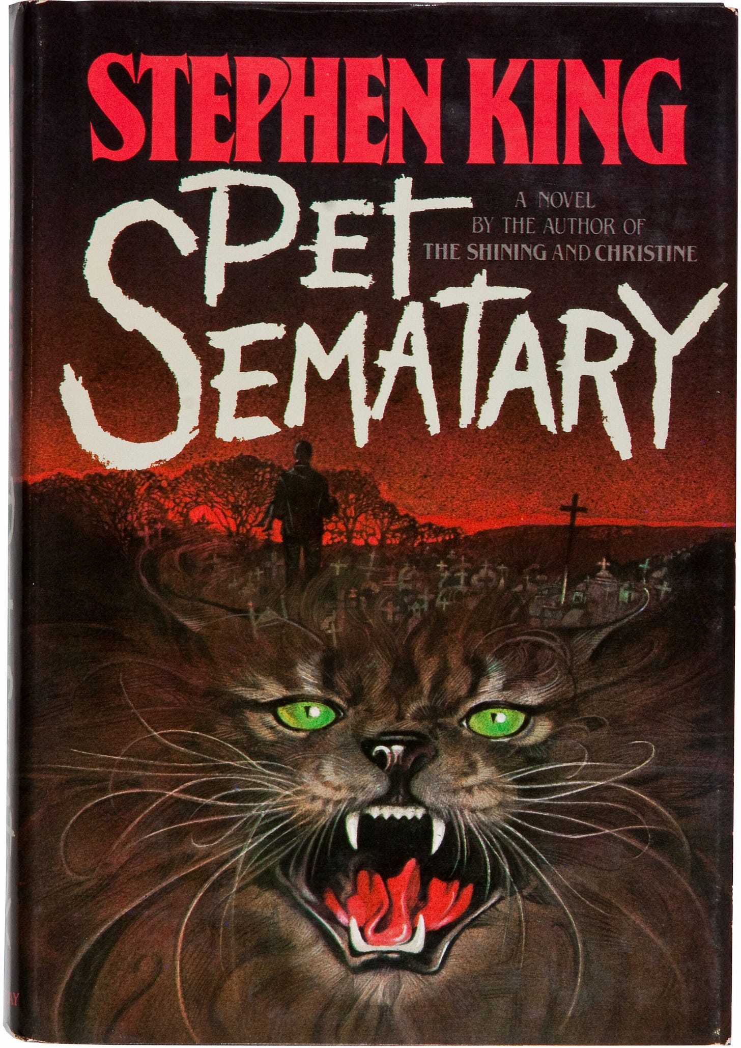 Book cover with a grave yard, a black figure of a person, and the face of a cat