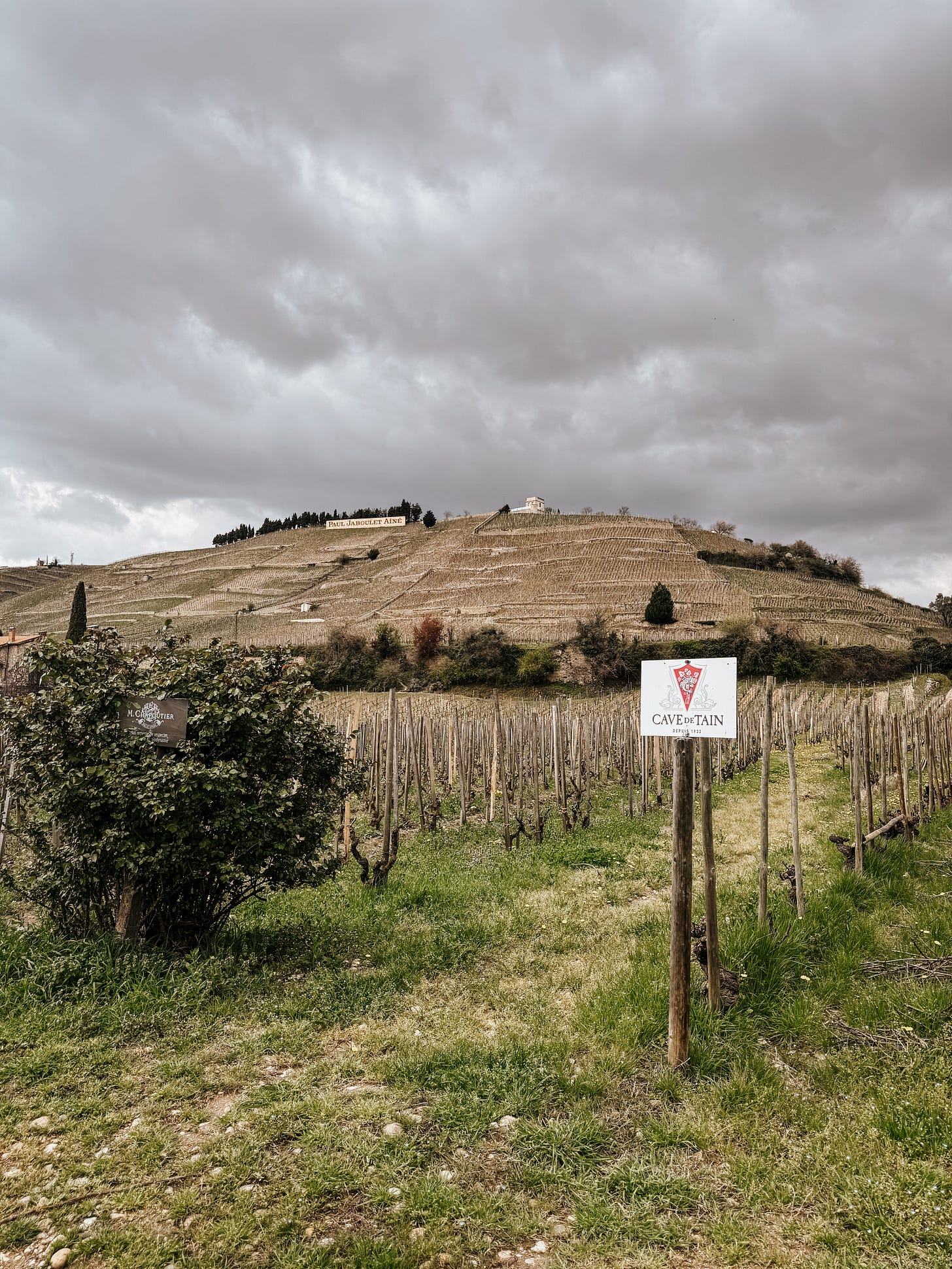 View of the Hermitage appellation slopes outside of Cave de Tain