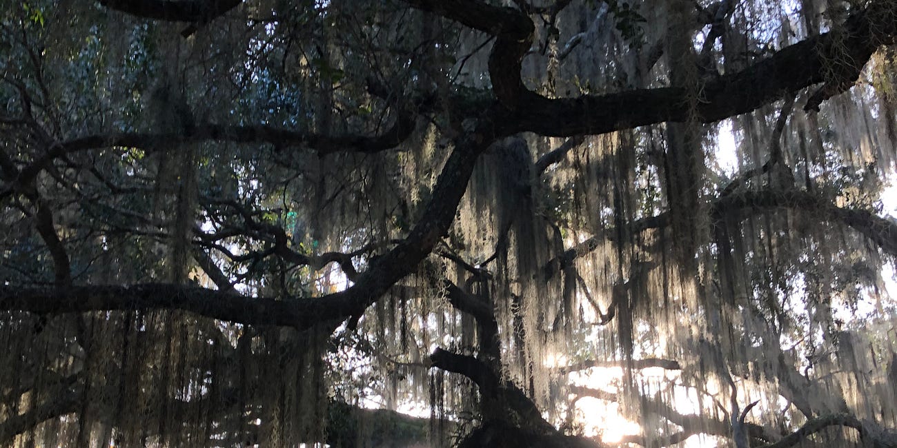 Fight where it makes the most sense