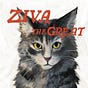 Steve Freedman's avatar