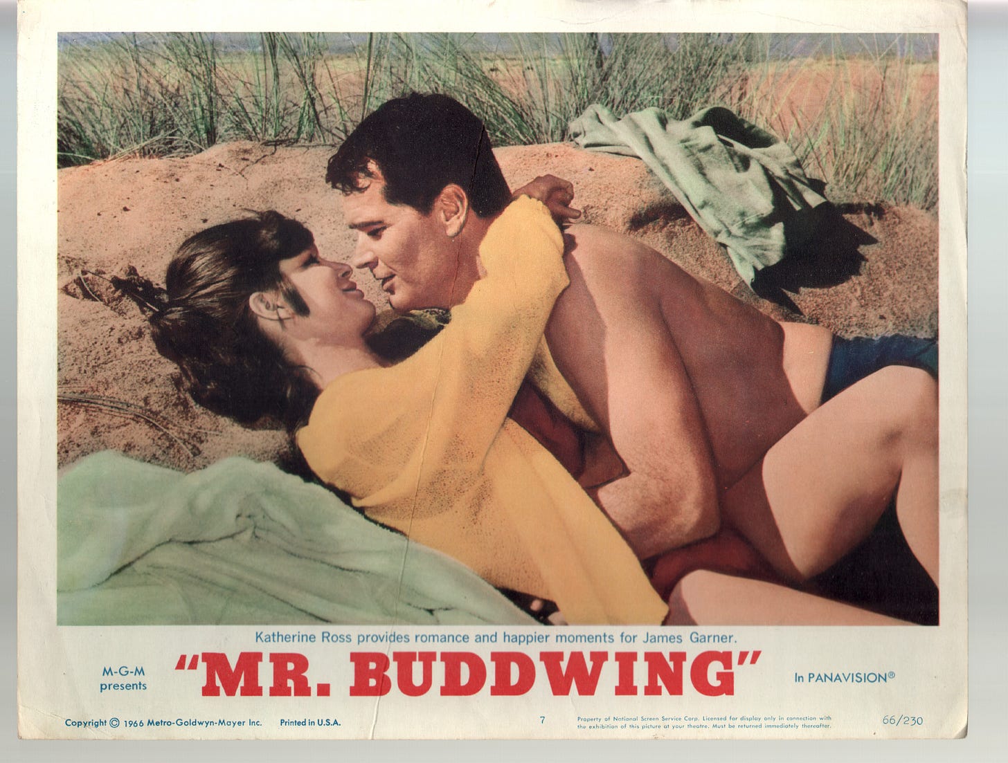 Mr. Buddwing-James Garner-Katherine Ross-...