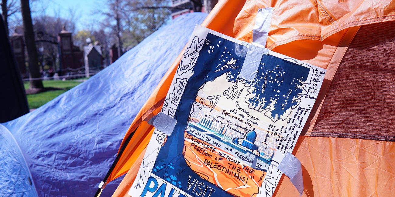 How my support for Palestine made me ‘a traitor’ to India