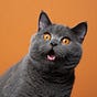 pokey939's avatar