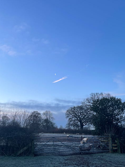 sunrise over frosty fields