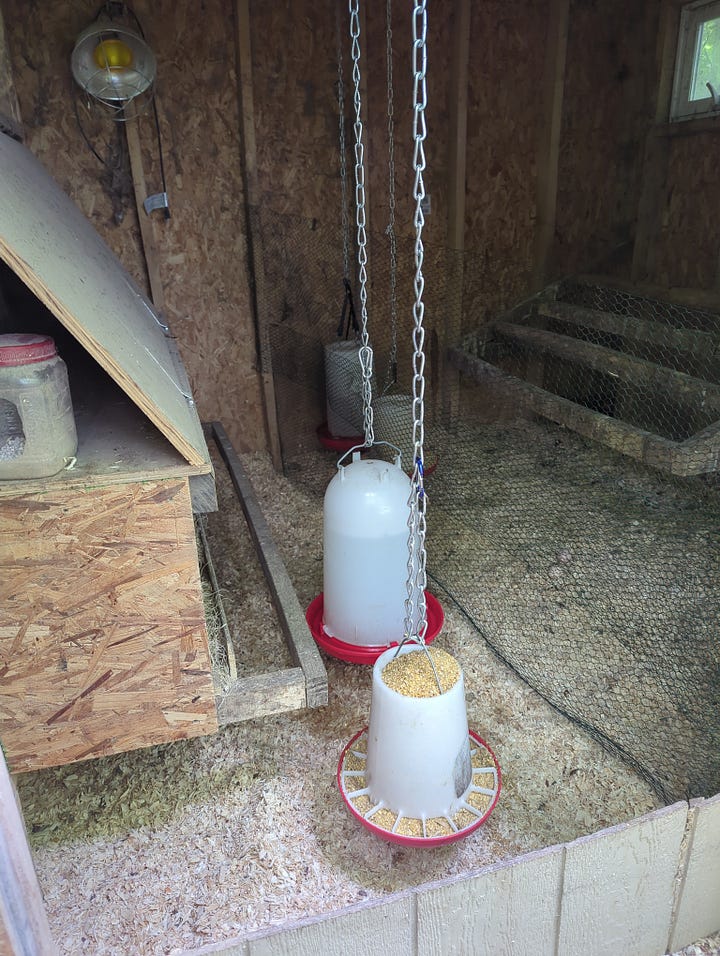 New pullets on-site, lumber logistics and milling, a snapping turtle, and more