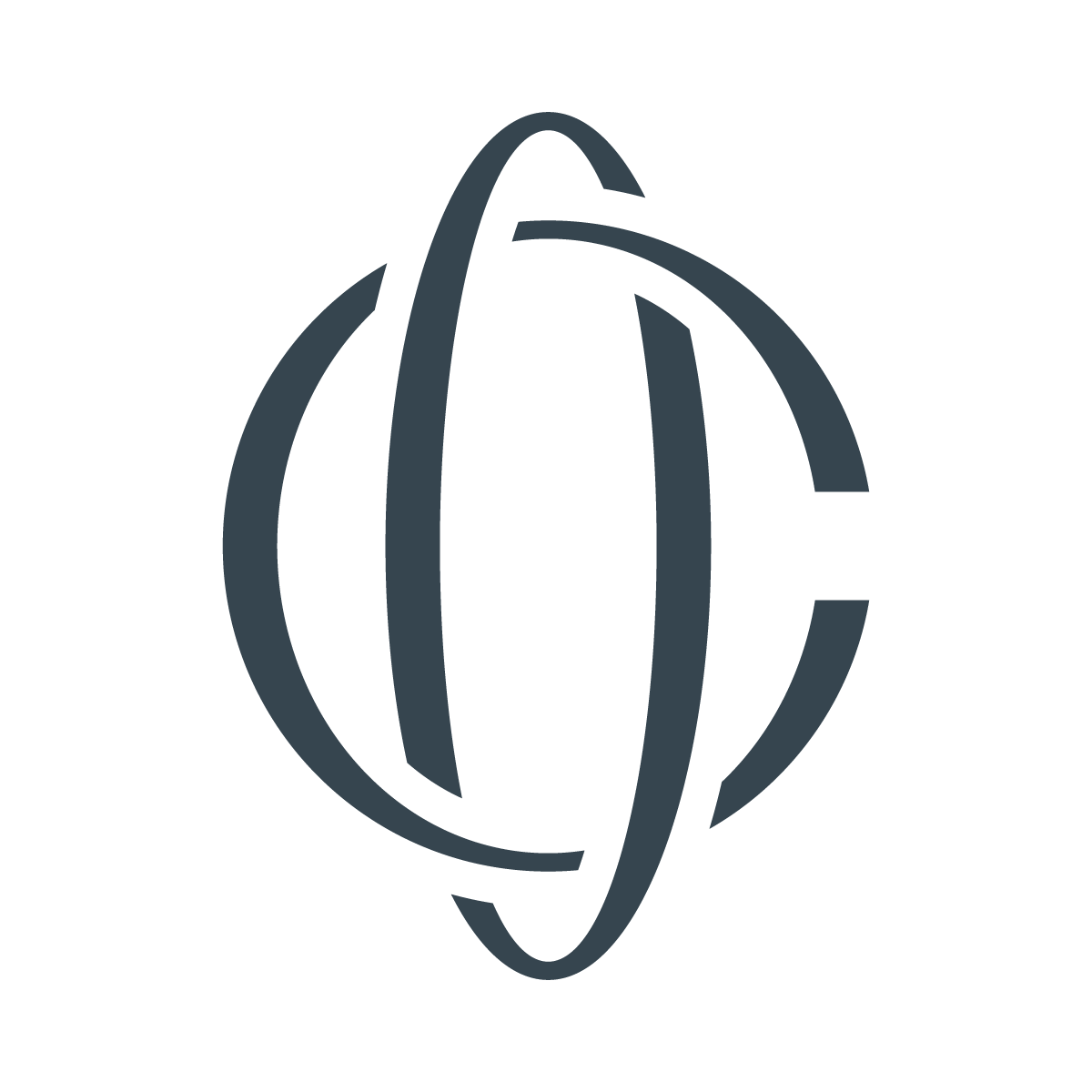 The Consciousness Foundation