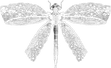 HOLY WOUND