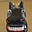 Doug Larsen's avatar